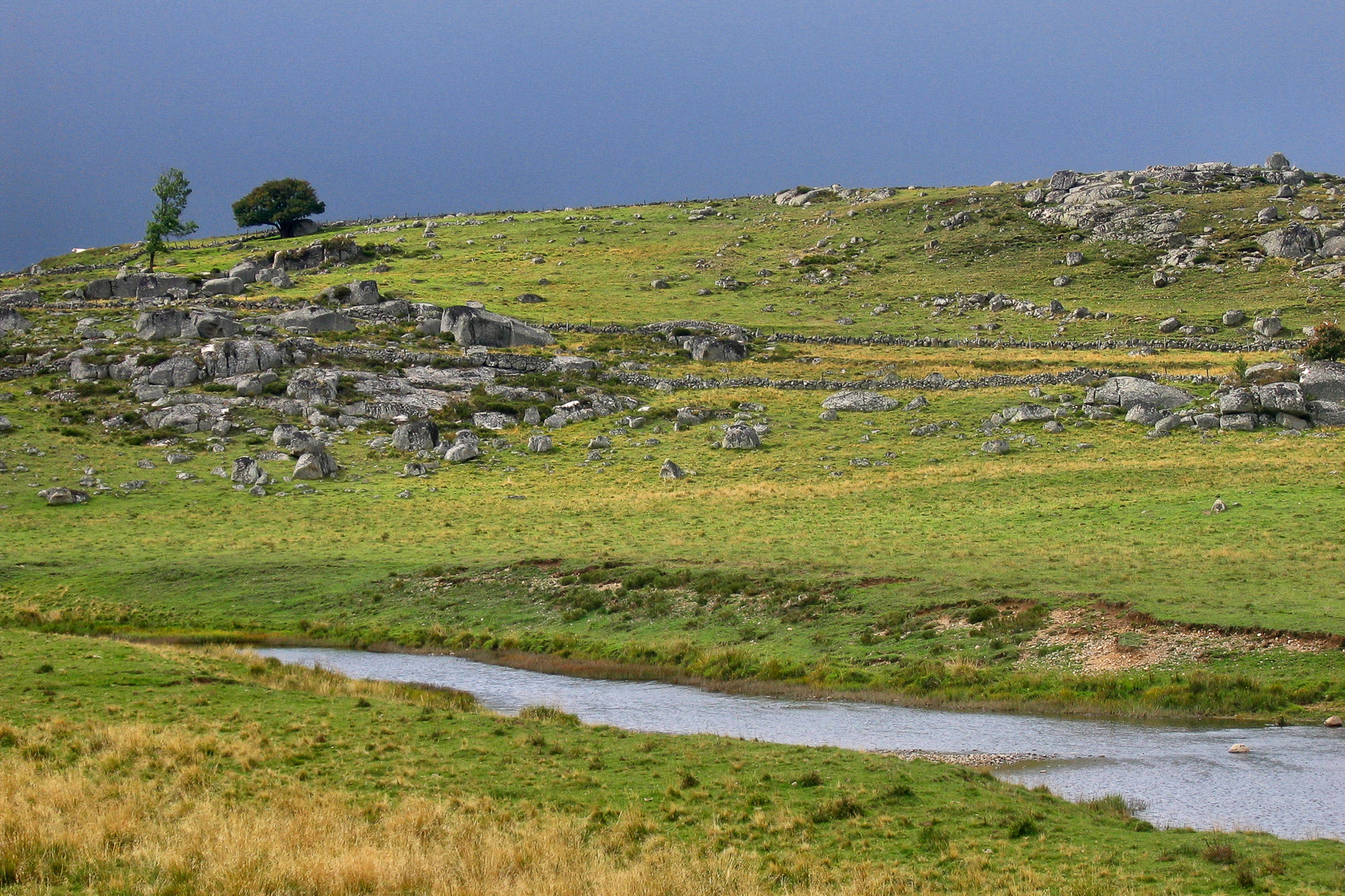 Day 1: Way through plateau Aubrac