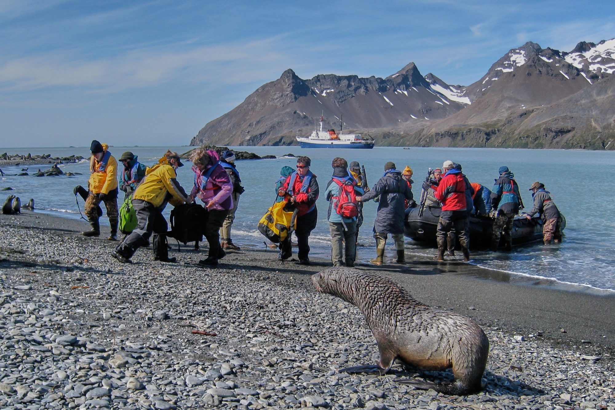 Fortuna Bay, South Georgia