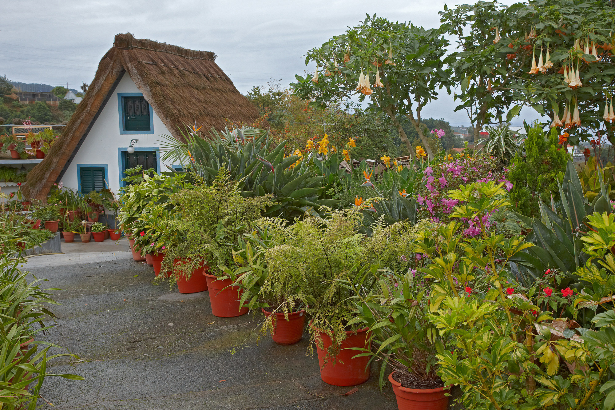 traditional Madeiran farmhouse in Santana