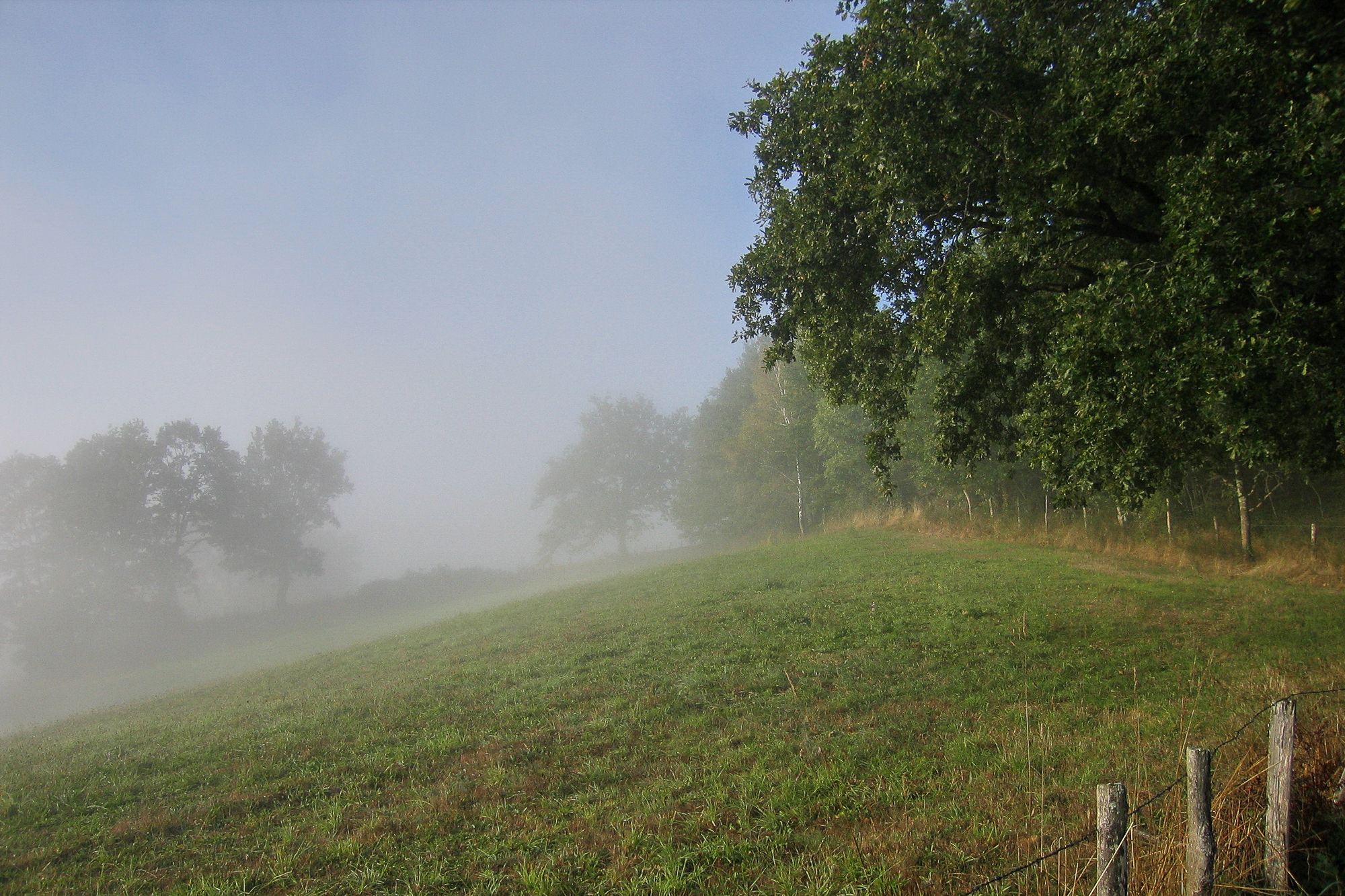 Tag 6: From Espeyrac nach Conques