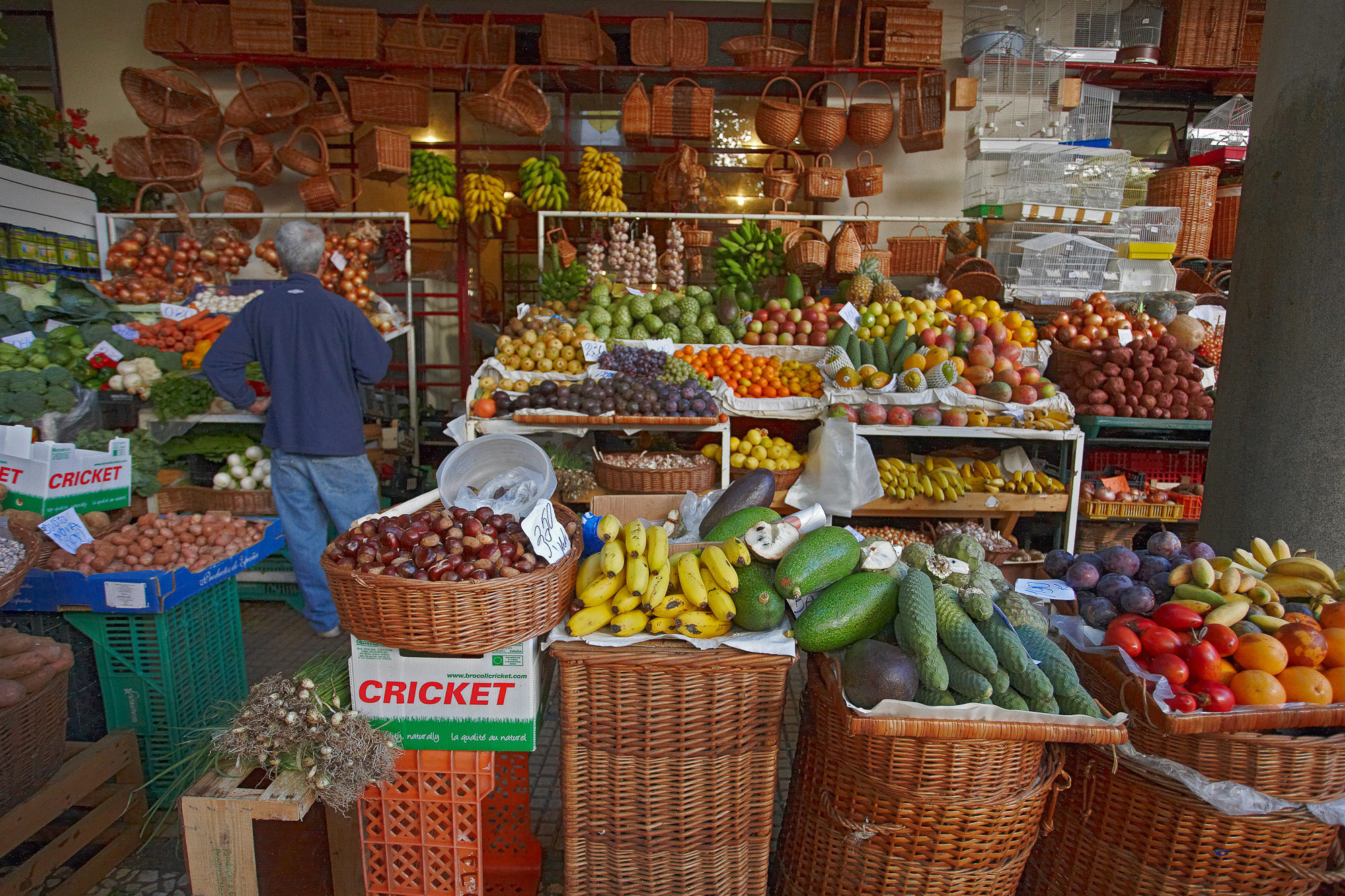 Wochemarkt in Funchal