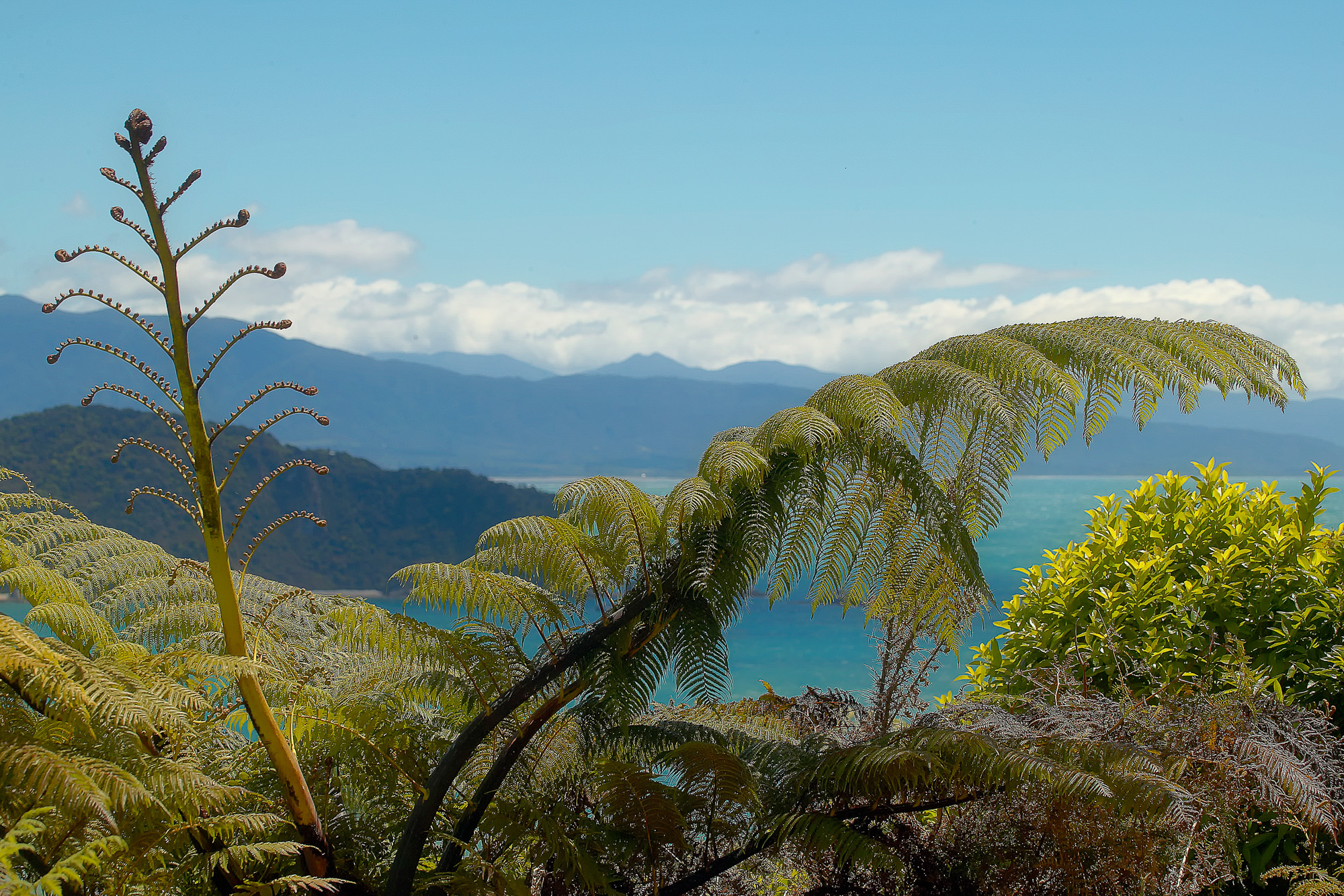 Abel Tasman Nationalpark