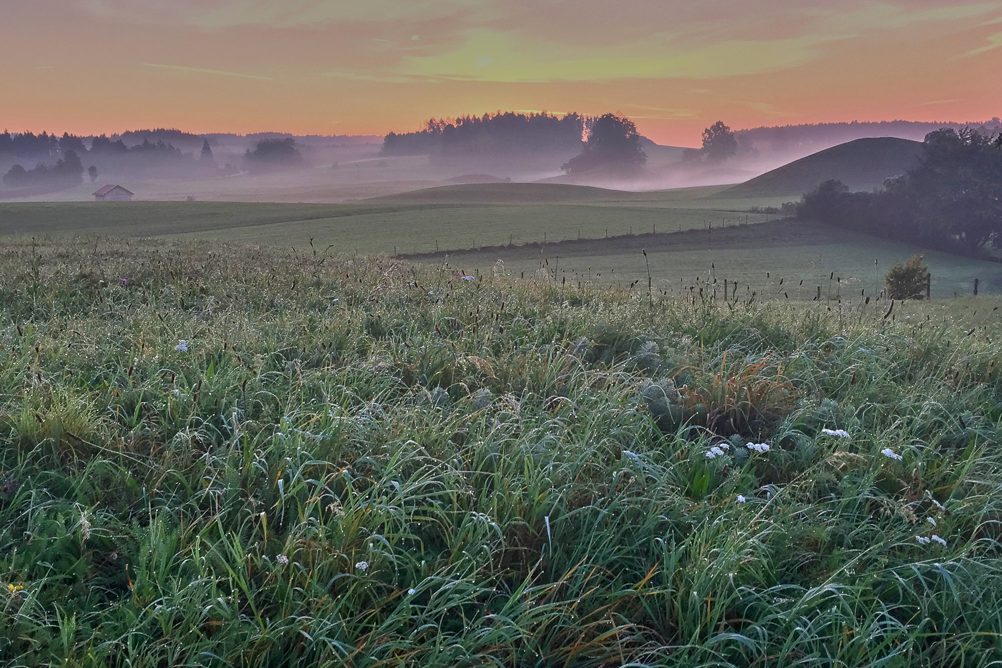 Herbststimmung in der Nähe von Weilheim