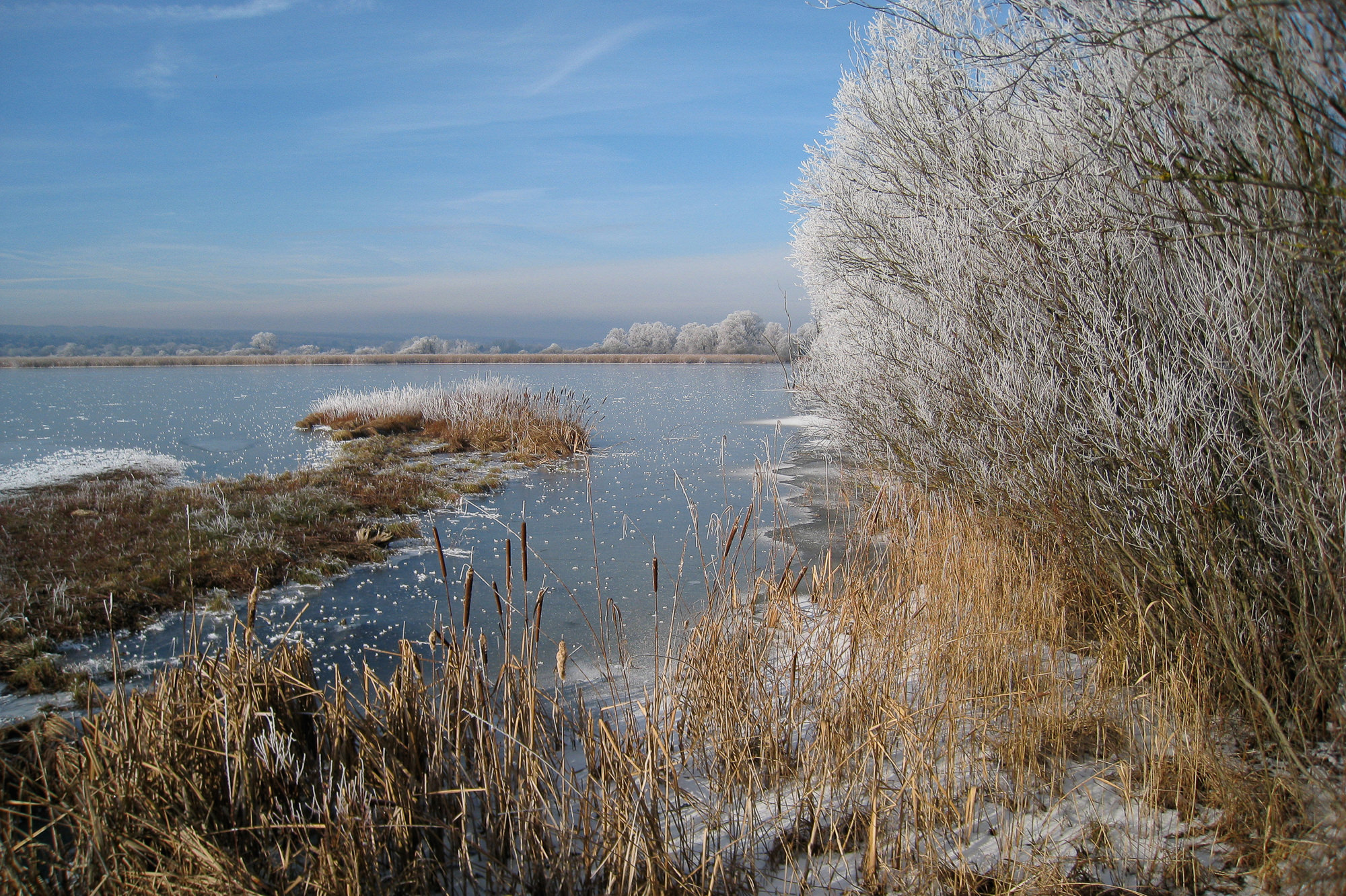 hoarfrost on lake Ammersee