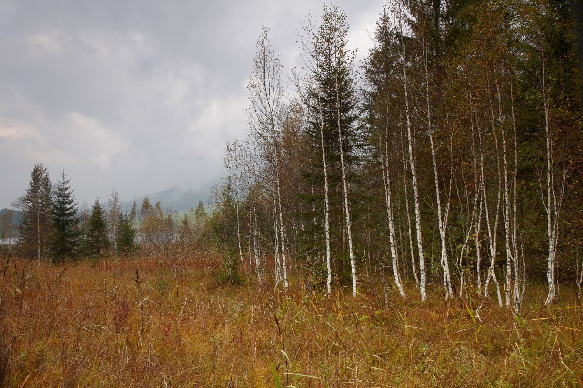lake Geroldsee, Mittenwald
